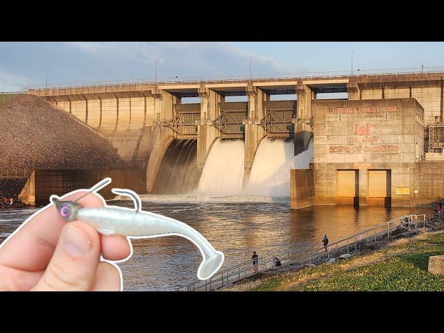 Fishing the Legendary J. Percy Priest Spillway!!