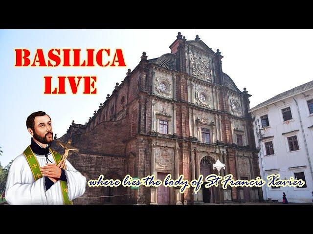 Basilica Live |Tuesday - Thirteenth Week in Ordinary time | Basilica of Bom Jesus | 2 July 2024