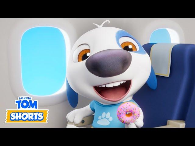 ️ Pilot Hank & More  Talking Tom Shorts (S2 Episode 53)