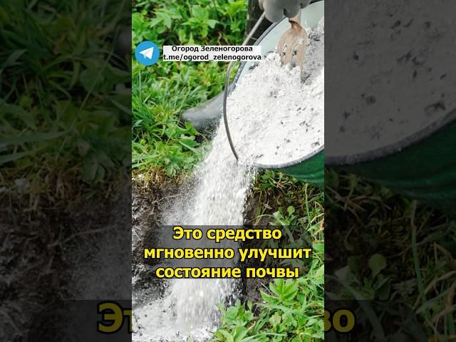Это средство мгновенно улучшит состояние почвы