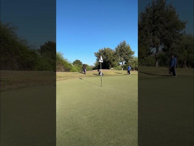 ️Daily Hole Vlog️ #golf #golfswing #pxg #pxgtroops #funny #trending #golfvlog #golfshorts #reels