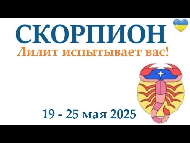 СКОРПИОН  19-25 май 2025 таро гороскоп на неделю/ прогноз/ круглая колода таро,5 карт + совет