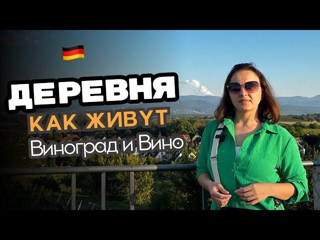 Как живут в деревнях в Германии / Выращивание винограда / Деревня и горы