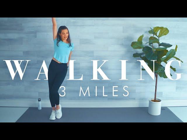 4500 Steps!   Beginner WALK & DANCE  🪩  Workout     (45 Min)  