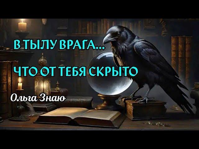 ️🪃  Новолуние  В тылу врага. Что там происходит? 