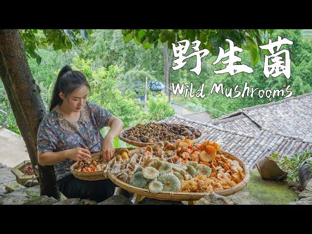 Yunnan people are currently obsessed with one thing: mushroom foraging in the mountains…【滇西小哥】