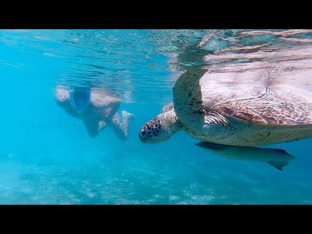 Snorkeling in New Caledonia