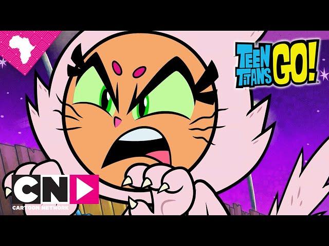 Cats and Valkyries | Teen Titans Go! | Cartoon Network Africa