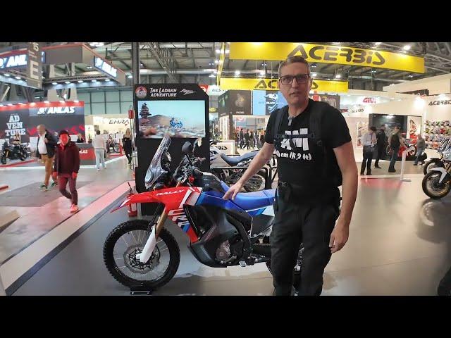 The new 2025 HONDA CRF300L RALLY (first look) Eicma Italy