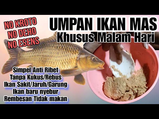 Umpan ikan mas khusus malam hari untuk segala cuaca