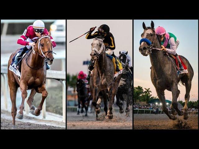 Ranking the Best Pegasus World Cup Winners | Top 8