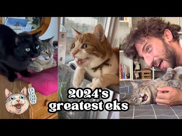 ekekekkekkek compilation - 2024’s BEST Cat Chirping, Chattering, Clicking and Chittering