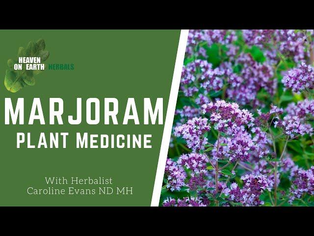 Marjoram, what are the health benefits of one of our oldest modern medicines?