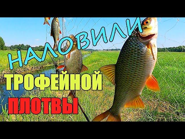 НАЛОВИЛИ КУЧУ РЫБЫ!!! Удачная рыбалка на экраны-телевизоры.