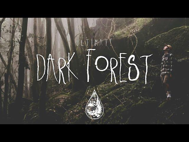 Ultimate Dark Forest  - A Spooky Indie/Folk/Alternative Playlist