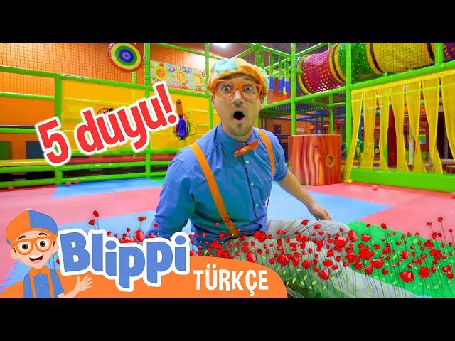 Blippi 5 Duyuyu Öğreniyor | Blippi Türkçe - Çocuklar için eğitici videolar | Türkçe Dublajlı
