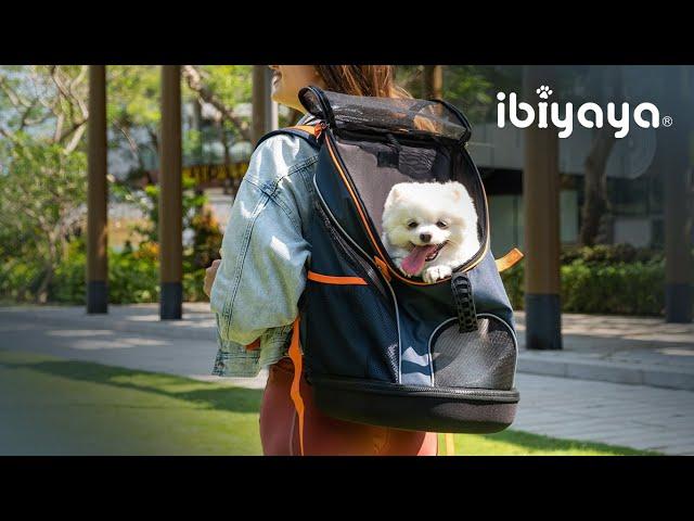 Lightweight, multi-use, and very safe | FC2106 Ultralight Pro Backpack Carrier | IBIYAYA