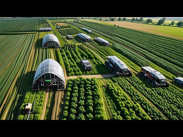 CHINA'S NEW FARMING TECHNOLOGY: New Crop Production System