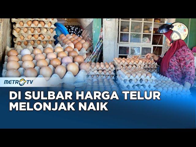 Harga Telur di Sulbar Melonjak Jelang Maulid