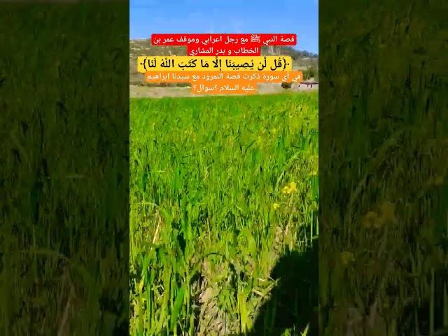 قصة النبي ﷺ مع رجل اعرابي وموقف عمر بن الخطاب و بدر المشاري #بدر_المشاري #النبي #حالات #قصص