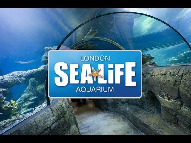 SEA LIFE London Aquarium