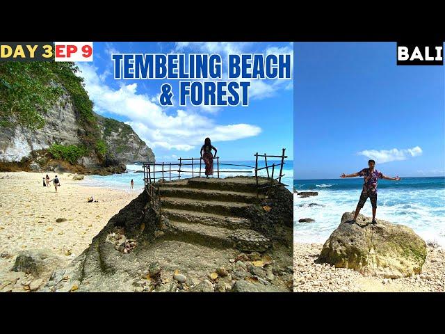 WORST RIDE to reach this place? | Tembeling beach & HIDDEN natural pool | Day 3 Episode 9 #bali