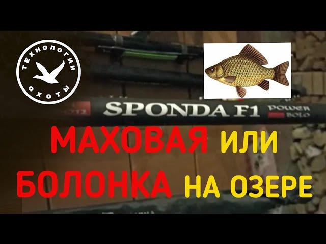 Маховая или болонская удочка на озере?