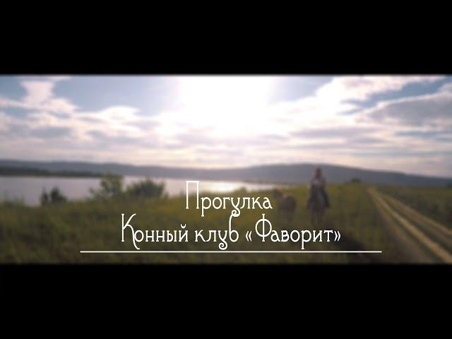 Прогулка. Конный клуб "Фаворит"