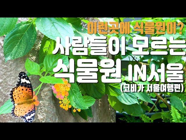 서울에 식물원이 이렇게 많아? 사람들이 모는 서울 속 식물원 BEST3