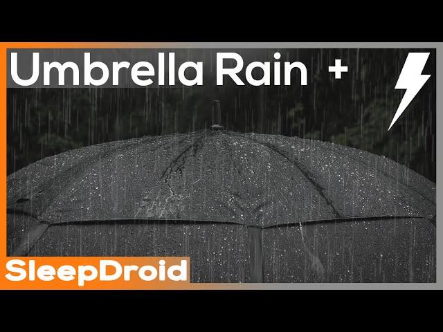 ► Rain on an Umbrella 2~Rain & Thunder Sounds for Sleeping, Rain Under Umbrella (Lluvia Para Dormir)