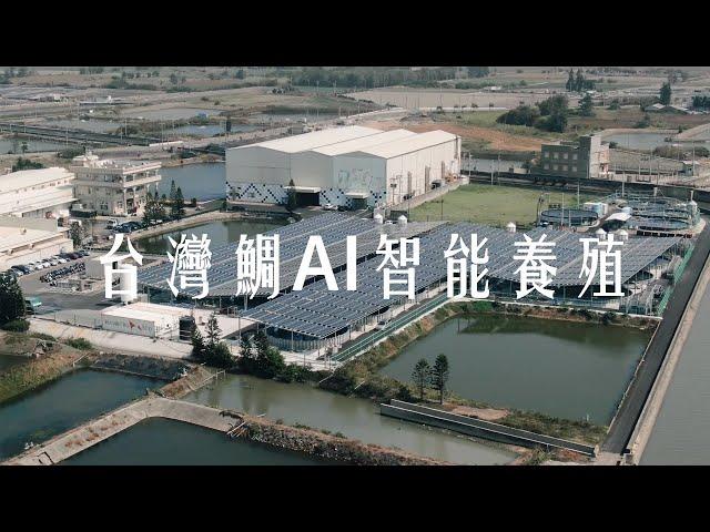 【口湖台灣鯛】台灣鯛AI智能養殖池