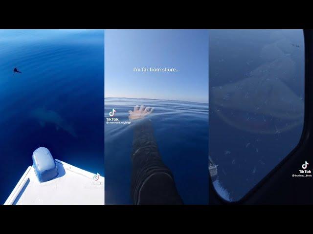 the ocean scares me | Thalassophobia Scary Ocean Tiktoks