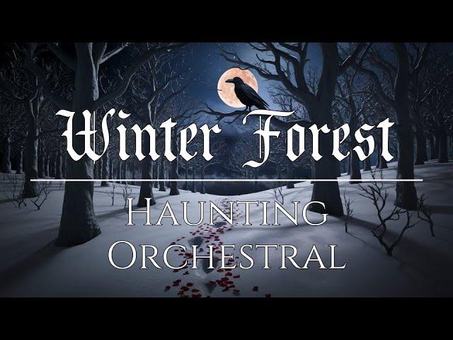 Winter Forest Walk ‍⬛ Haunting Orchestral Music