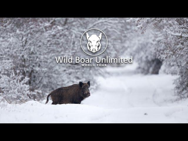 Wild Boar Unlimited