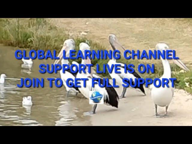 Global Learning is live