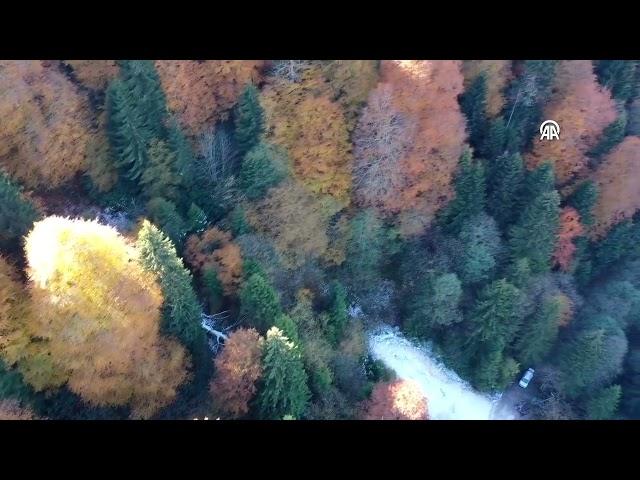 Giresun sonbahar renkleriyle büyüledi