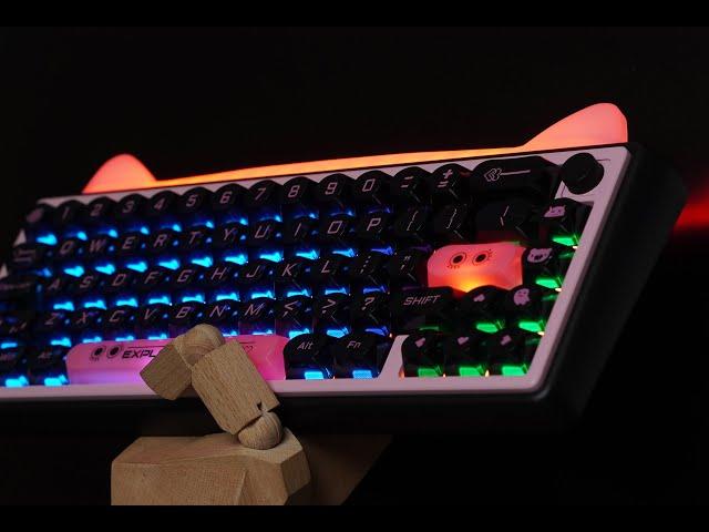 RGB Cat Ears！on the keyboard Chilkey paw65 unbox