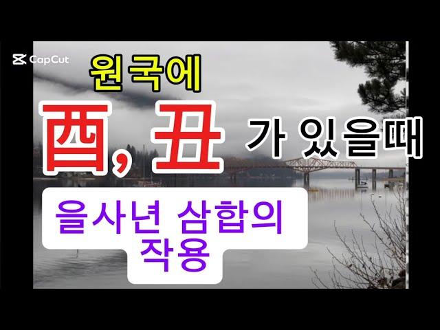 지지에 酉과 丑가 있을때_을사년의 사유축 삼합의 작용