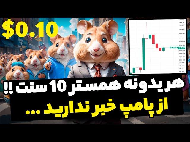 رسیدن قیمت همستر به 10 سنت اما کی الان بخریم ؟ از پامپ همستر خبر نداری ...