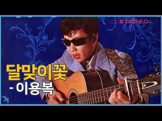 이용복 - 달맞이꽃 (1972)