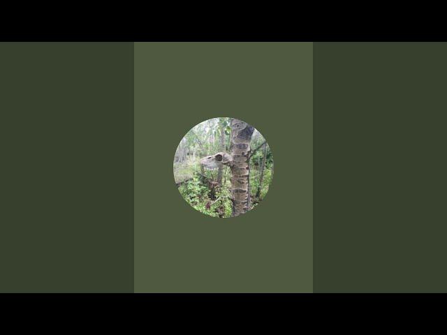 ShadowAspenSurvivor is live!