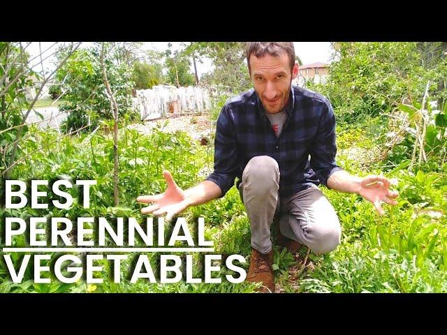 5 Delicious PERENNIAL Vegetables [Come Back Every Year!]  Grow More Food At Home!