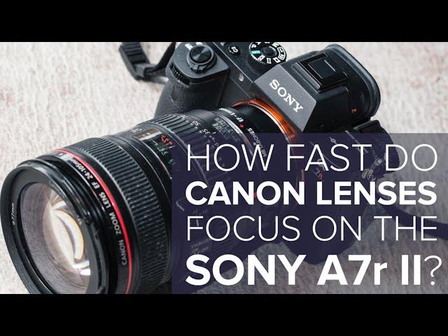 Here's How Fast Canon Lenses Focus On the Sony A7r Mark II