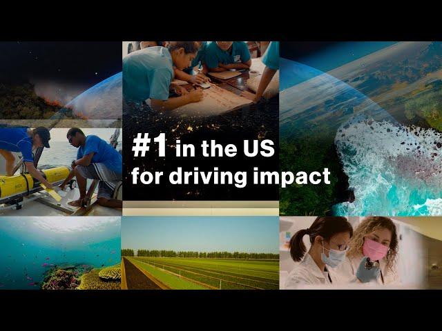 Driving Impact Today for a Better Tomorrow