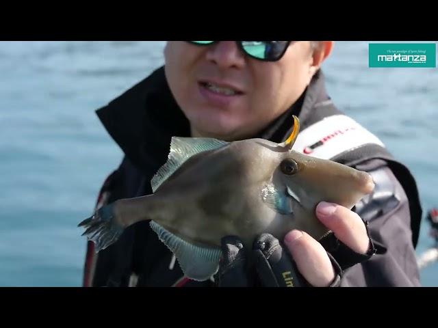 [피크닉TV] 통영  대물 감성돔 카고낚시 영상