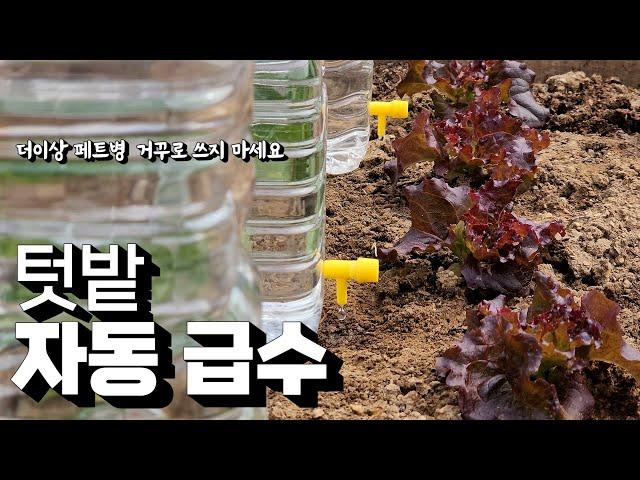 더이상 페트병 거꾸로 꽂지 마세요 올려만 놓으면 자동 급수로 가뭄 해결!