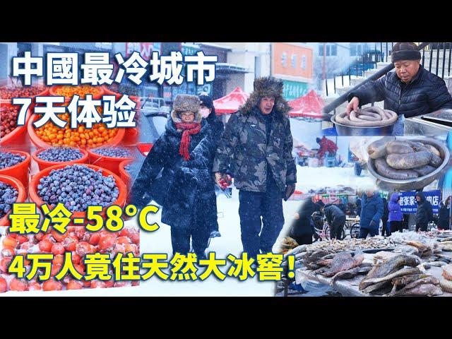 中国最冷城市，7天深度体验，极端低温-58°C，每年供暖9个月，从18万人流失到今天4万多人，平均工资4000元，但上山捡野果每年能挣3万元，实拍鲜有人知的极寒之地【阿树闯东北】EP42