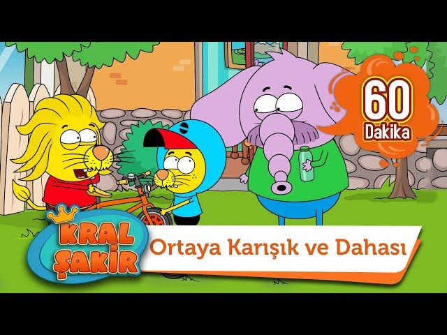 Ortaya Karışık ve Dahası - Kral Şakir