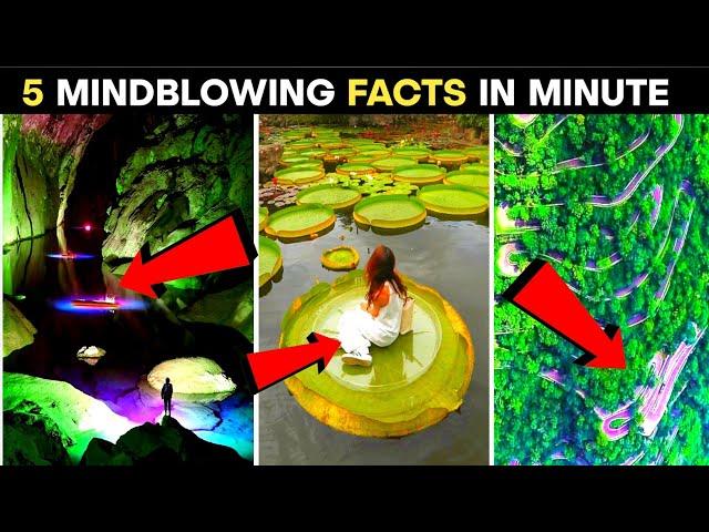 Mind Blowing Facts | fact tech India | interesting facts |