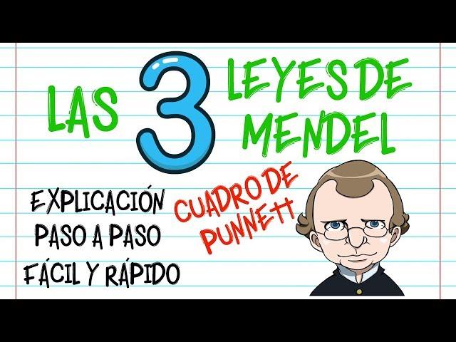 LAS LEYES DE MENDEL, CUADRO DE PUNNETT  PASO A PASO, EXPLICACIÓN  [Fácil y Rápido] | BIOLOGÍA |